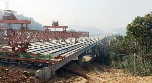 四川(chuan)橋梁鋼模板